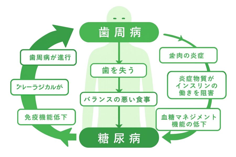 歯周病と糖尿病、実は二人三脚の病気？放置しないための予防と治療